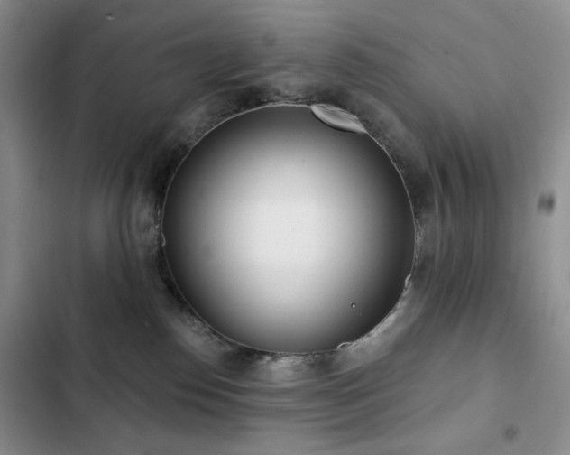 X0000102850186200808181426