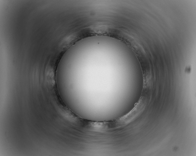 X0000102850187200808181426