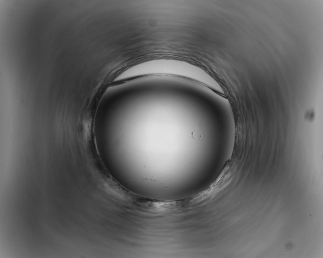 X0000102850188200808181426