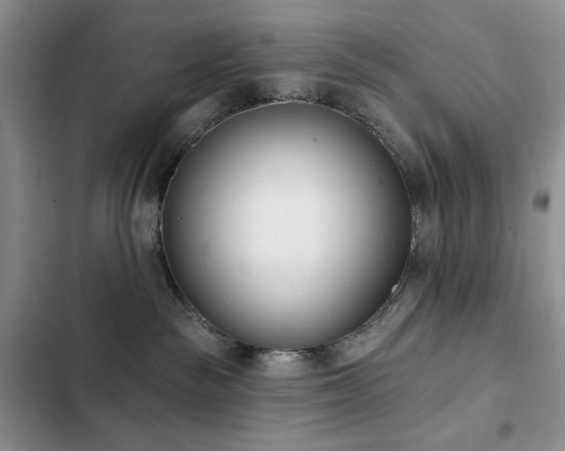 X0000102850189200808181426