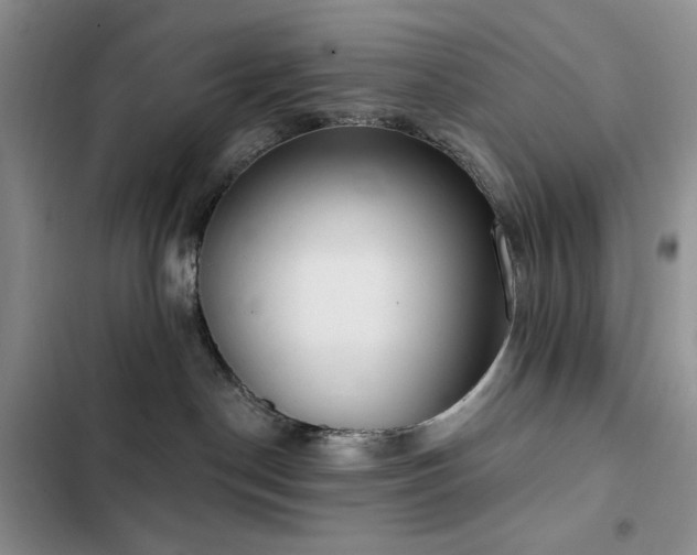 X0000102850190200808181426