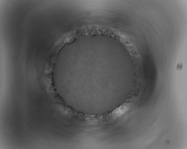 X0000102850192200808181426