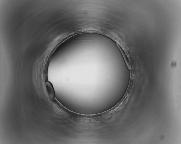 X0000102850193200808181425