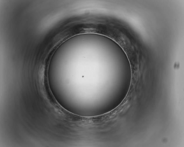 X0000102850194200808181425