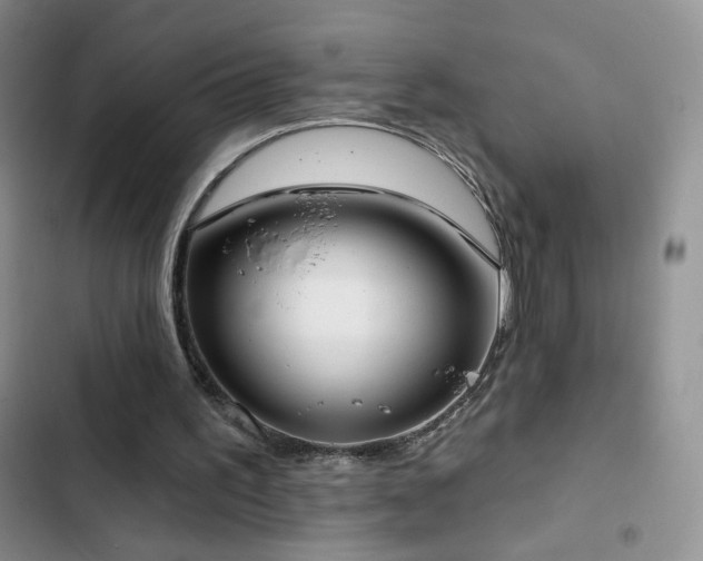 X0000102850195200808181425