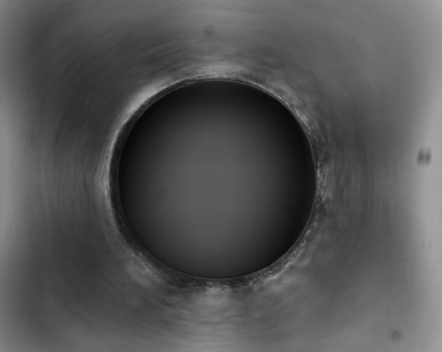 X0000102850196200808181425