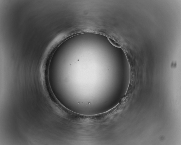 X0000102850197200808181425