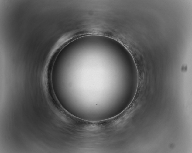 X0000102850198200808181425