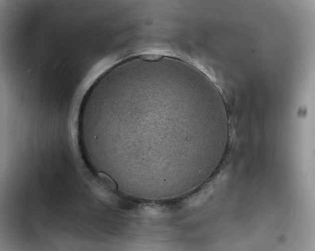 X0000102850199200808181425