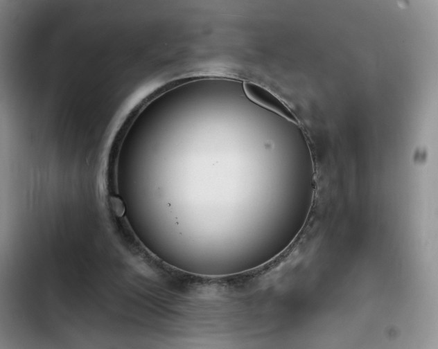 X0000102850200200808181425