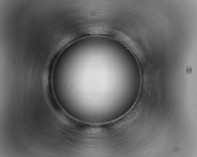 X0000102850202200808181425