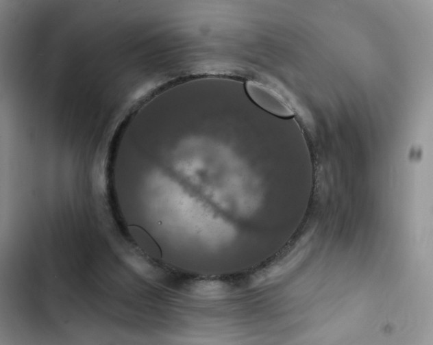 X0000102850203200808181425