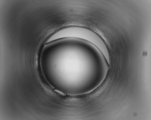 X0000102850205200808181425