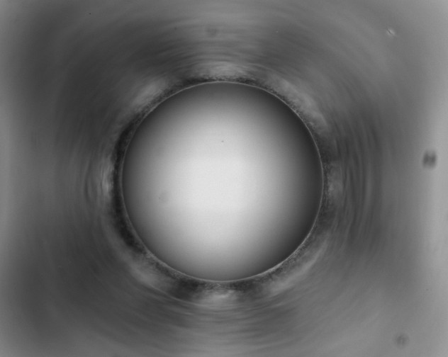 X0000102850206200808181425