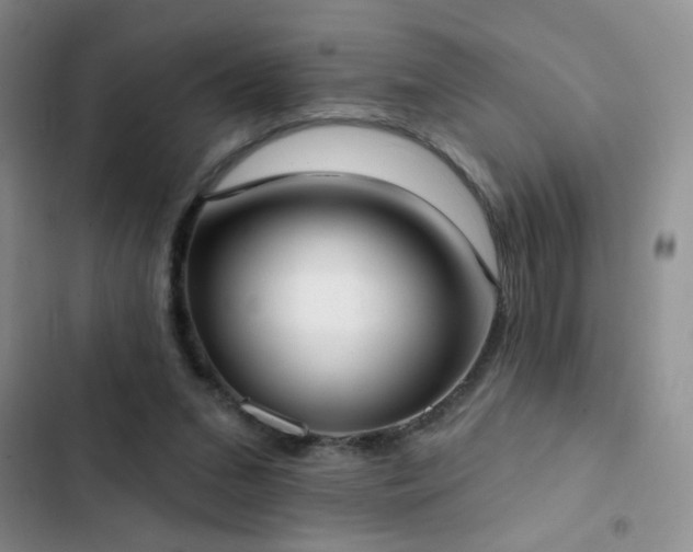 X0000102850207200808181425