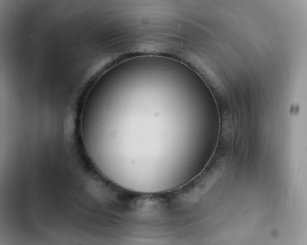 X0000102850208200808181425