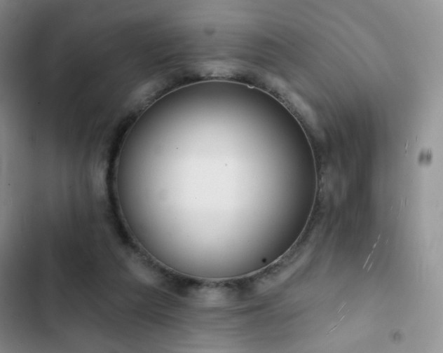 X0000102850209200808181425