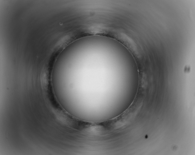 X0000102850210200808181425