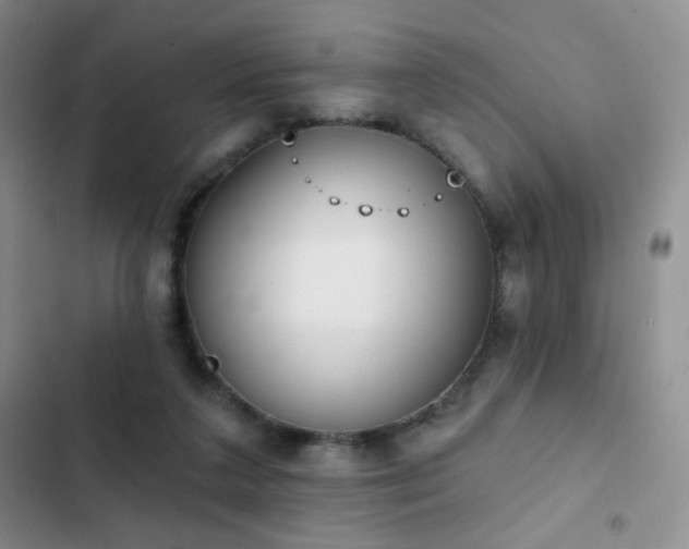 X0000102850211200808181425
