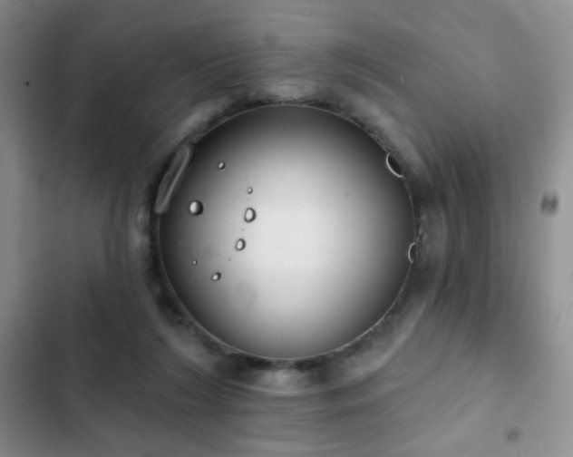 X0000102850212200808181425