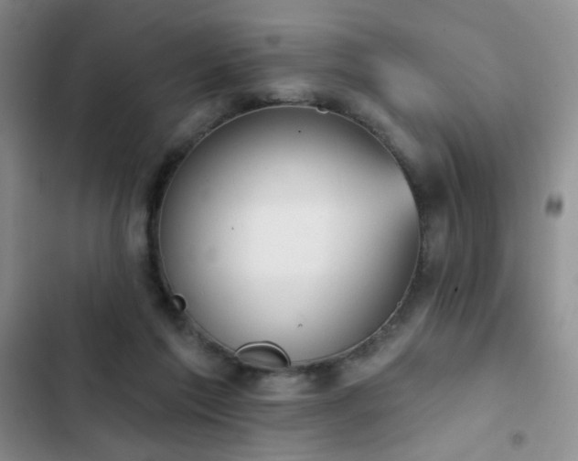 X0000102850213200808181425