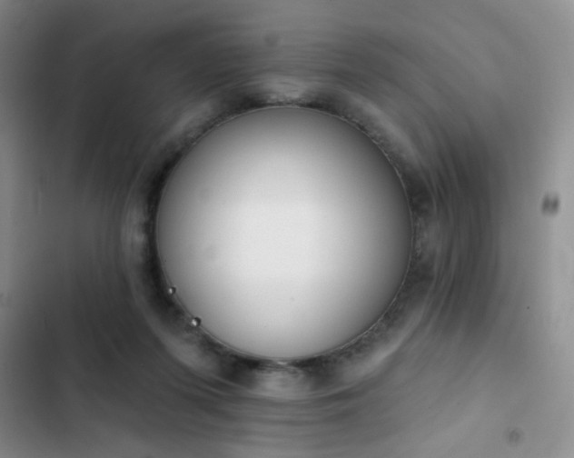 X0000102850215200808181425