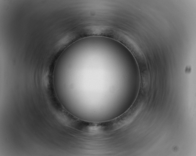X0000102850216200808181425