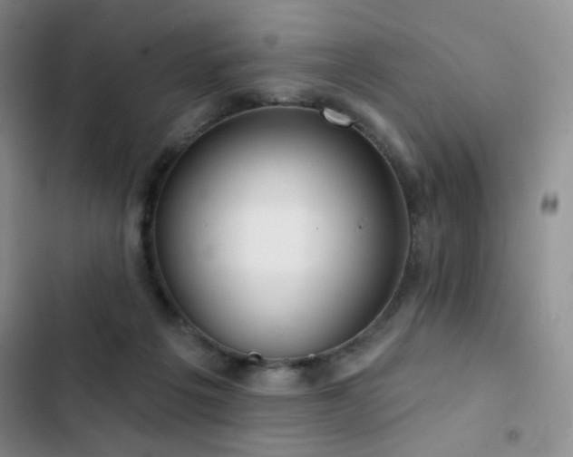 X0000102850217200808181425