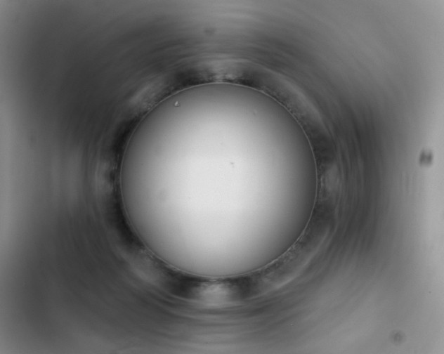 X0000102850218200808181425
