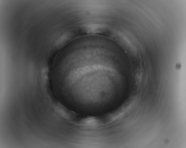 X0000102850219200808181425
