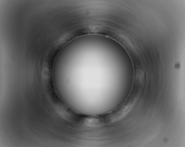 X0000102850220200808181425