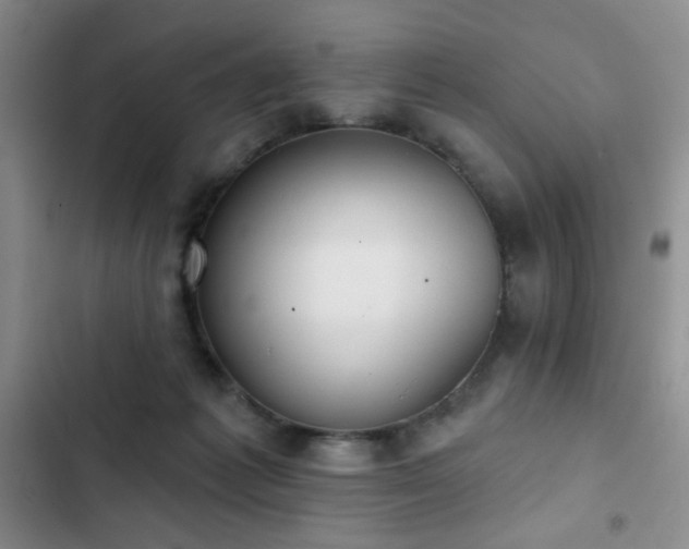 X0000102850221200808181425