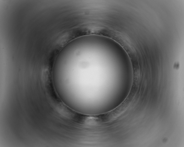 X0000102850222200808181425