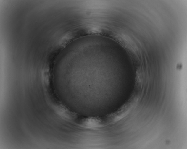 X0000102850223200808181425