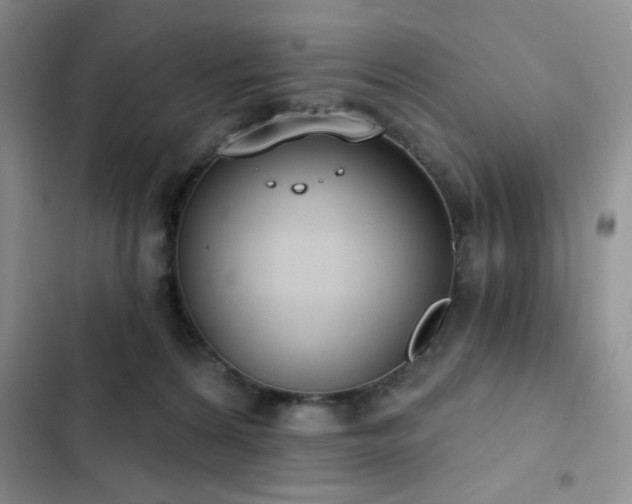 X0000102850224200808181425