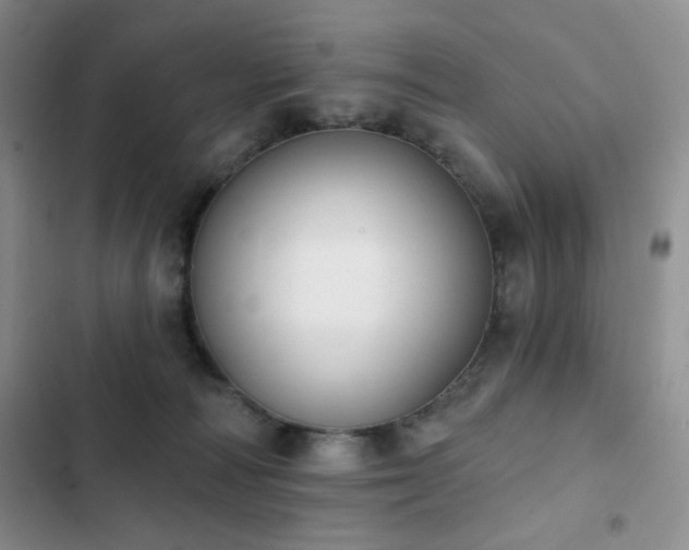 X0000102850226200808181425