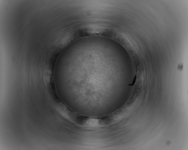 X0000102850227200808181425