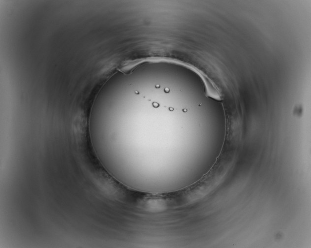 X0000102850228200808181425