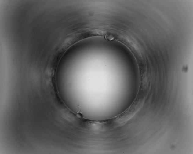 X0000102850229200808181425