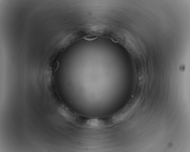 X0000102850231200808181425