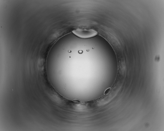 X0000102850232200808181425