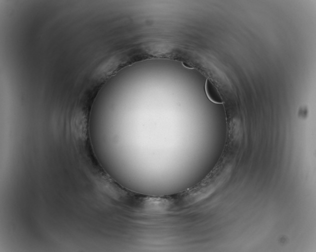 X0000102850234200808181425
