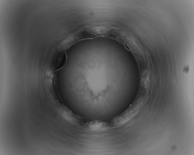 X0000102850235200808181425