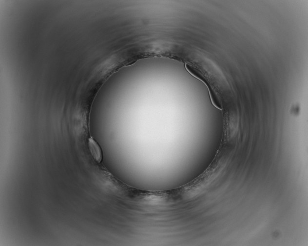X0000102850236200808181425