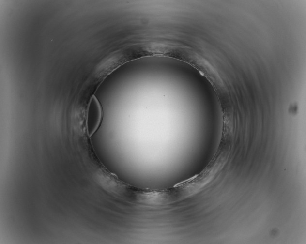 X0000102850237200808181425