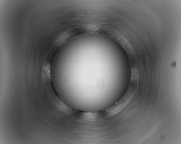 X0000102850238200808181425