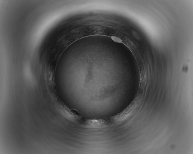 X0000102850239200808181425