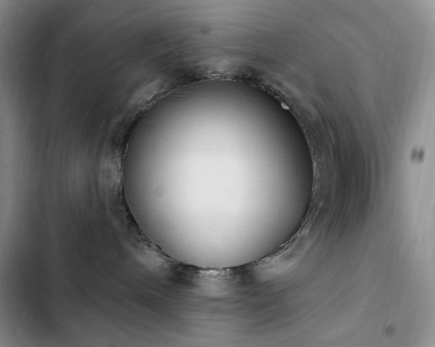X0000102850240200808181425