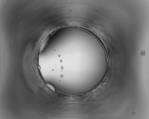 X0000102850241200808181424