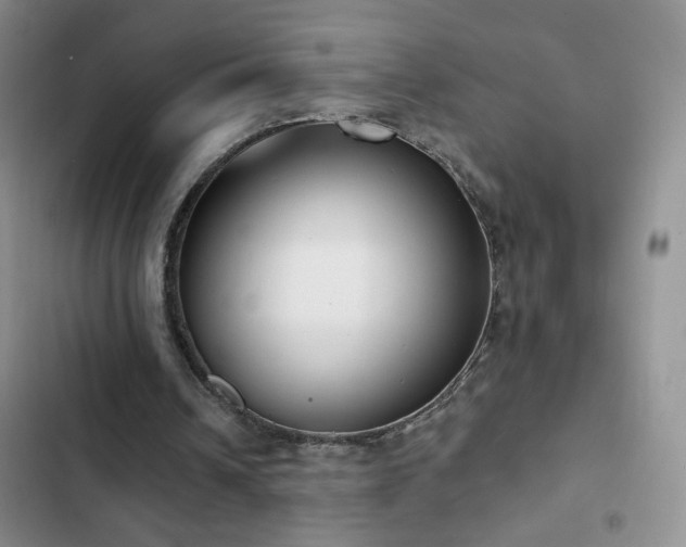 X0000102850242200808181424